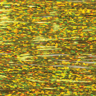 Flashabou predator holographic