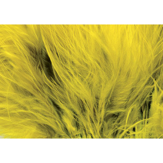 Marabout plumes quill