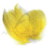 Anatra fianchi