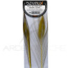 Quill di pavone sbarbati DEVAUX