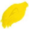 Collo di gallo tinto (rooster neck)