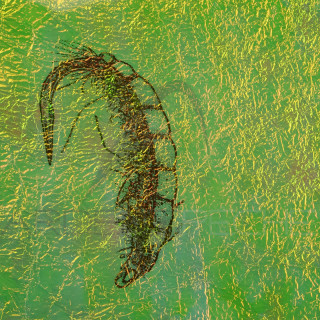 Fine FlashBack SYBAI