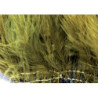Marabou quill feathers