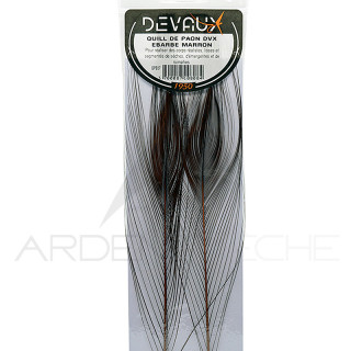 Stripped Peacock Quill DEVAUX