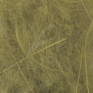 Cul de canard 54 DeanStreet super select