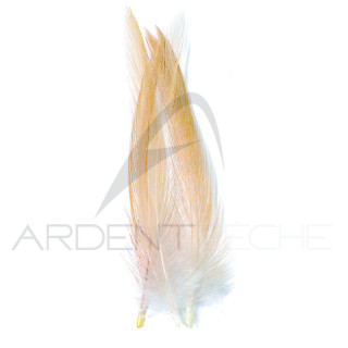 Corrèze fishing cock neck feather