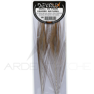 Stripped Peacock Quill DEVAUX