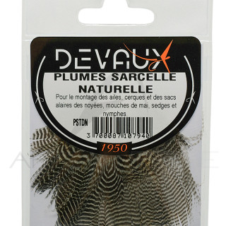 Alzavola DEVAUX