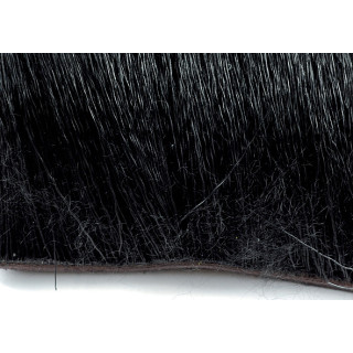 Daino fine e corto