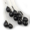 Occhi epoxy di granchio