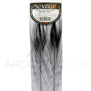 Stripped Peacock Quill DEVAUX