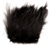 Grande hackle di gallo