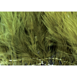 Marabù infilato