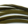 Oca biots quills