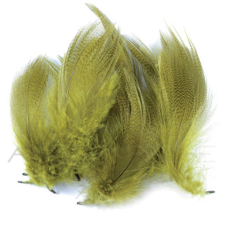 Anatra fianchi