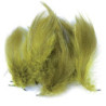Anatra fianchi