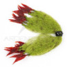 Chela granchio PUGLISI CRUSTACEOUS CLAW