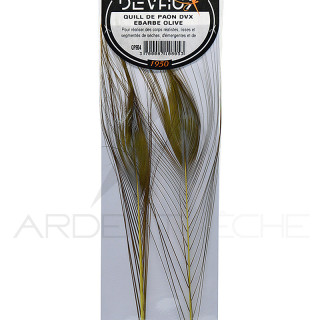 Stripped Peacock Quill DEVAUX
