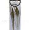 Quill di pavone sbarbati DEVAUX