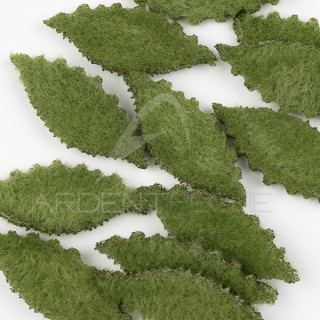 Crab Body EP FLEEING CRAB BODY Medium