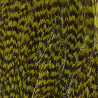 Grizzly cock half saddle