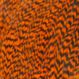 Demi selle de coq grizzly