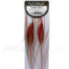 Quill di pavone sbarbati DEVAUX