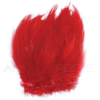 Grande hackle di gallo