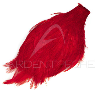 Dyed rooster neck