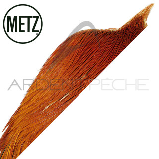 1/2 collo di gallo METZ grade 3