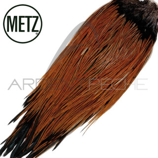 Gropponi di gallo METZ grade 2