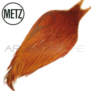 Colli di gallo METZ grade 2
