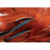 Zonker coniglio standard 3mm