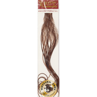 Plumes de coq WHITING 100