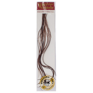 Plumes de coq WHITING 100