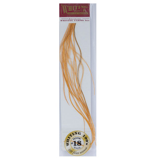 WHITING 100 Saddle Feathers