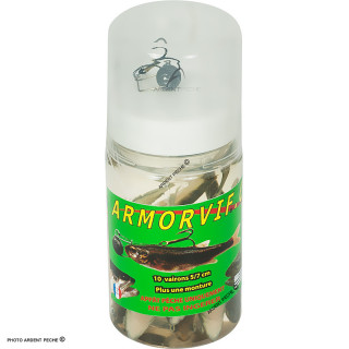 ARMORVIF Jar of 10 Minnows + rig 3g