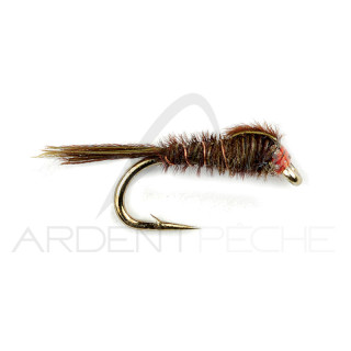 Mosca FMF Nymphe pheasant tail olive 444