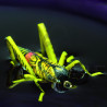 Realistic Yellow Grasshopper Fly