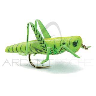 Realistic Fly Green Grasshopper