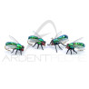 Mosca realistica verde