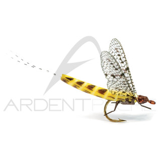 Realistic Fly Mayfly 2 Ephemera Danica
