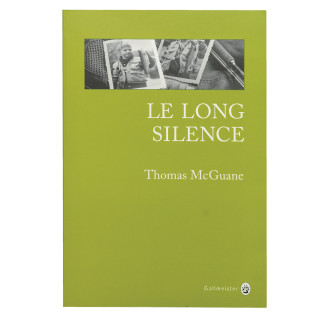 Il lungo silenzio