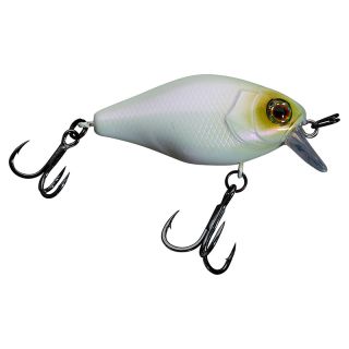 Poisson nageur ILLEX Chubby 41