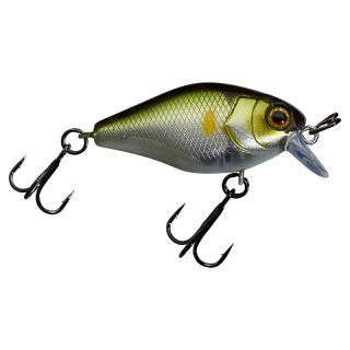 Poisson nageur ILLEX Chubby 41