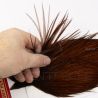 Collo di gallo WHITING Pro grade tinto coachman