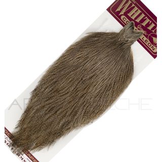 Cous pardo Whiting Grizzly dark pardo