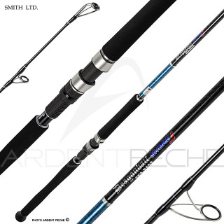 Spinning rod SMITH Dragonbait seabass shore jigging 100