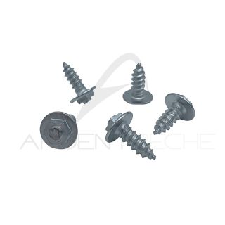 Clous DEVAUX Wading Stainless