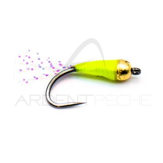 Mosca DEVAUX Alosa 02